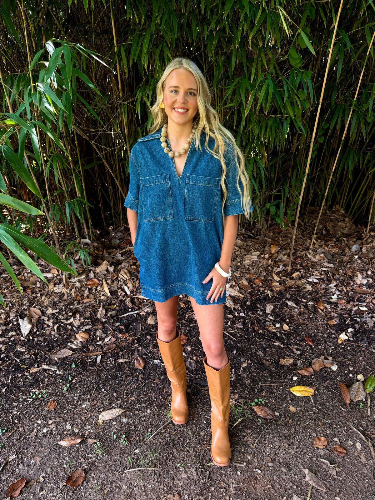 Hadley Denim Dress