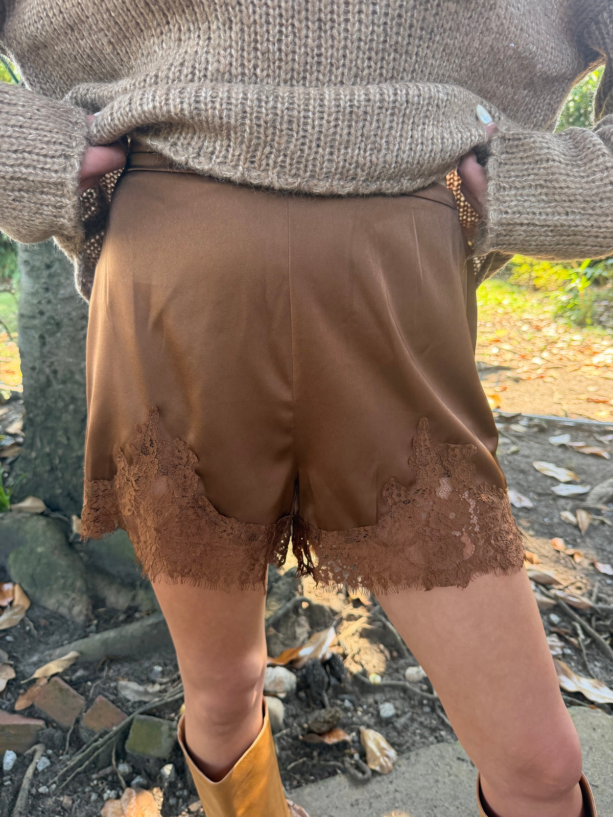 Brown Silk Shorts